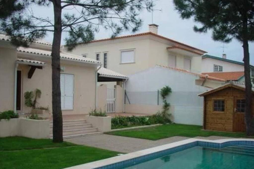 Querido, Vamos De Ferias! Vagos Exterior foto