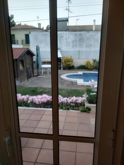 Querido, Vamos De Ferias! Vagos Exterior foto